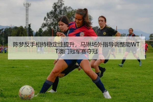 chen-meng-fan-shou-xiang-chi-wen-ding-xing-ti-sheng-ma-lin-chang-wai-zhi-dao-tiao-zheng-zhu-ao-men-guan-jun-sai-duo-guan-2-108.jpg